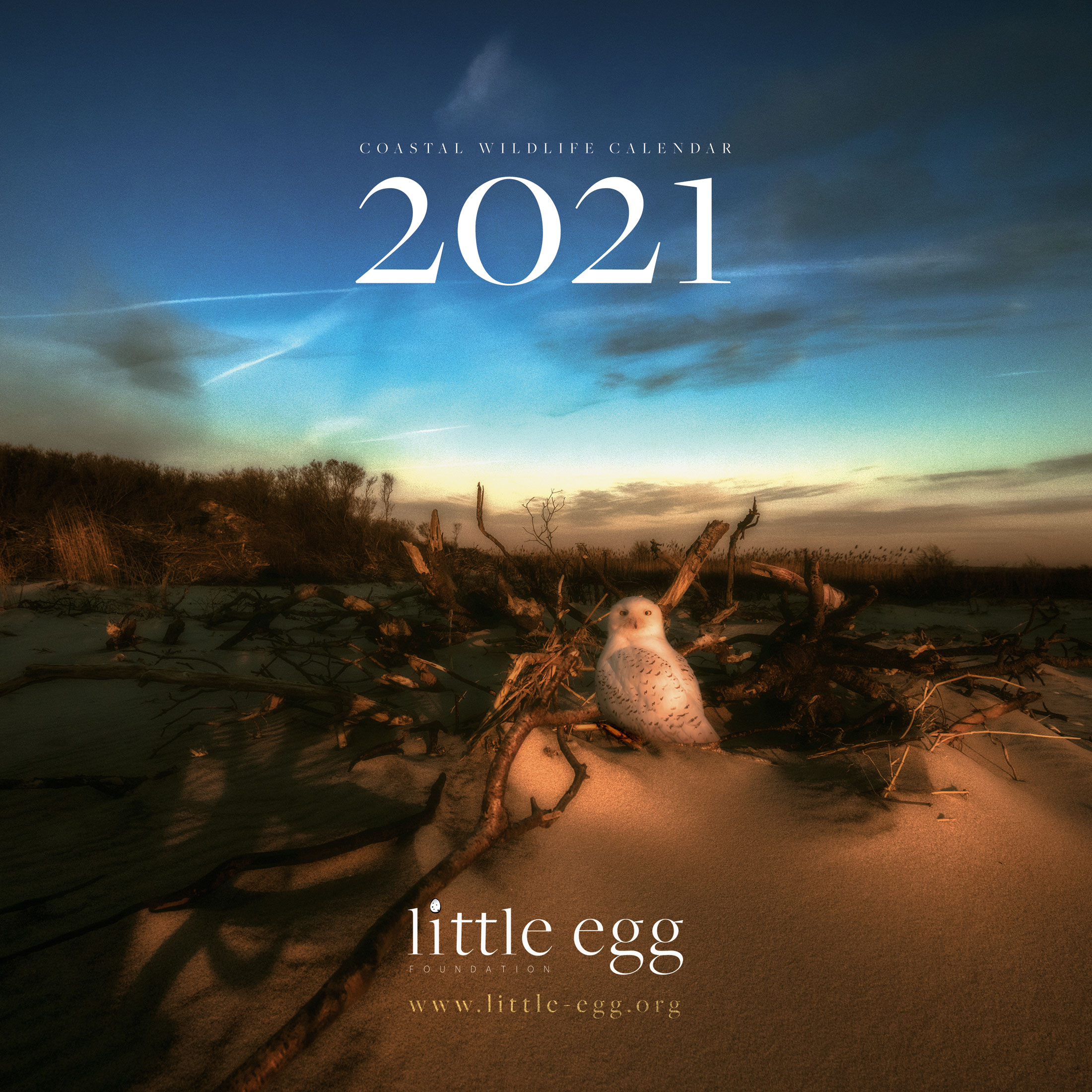 The Readings From the Northside Calendar is here. 2021 is going to be a great year!