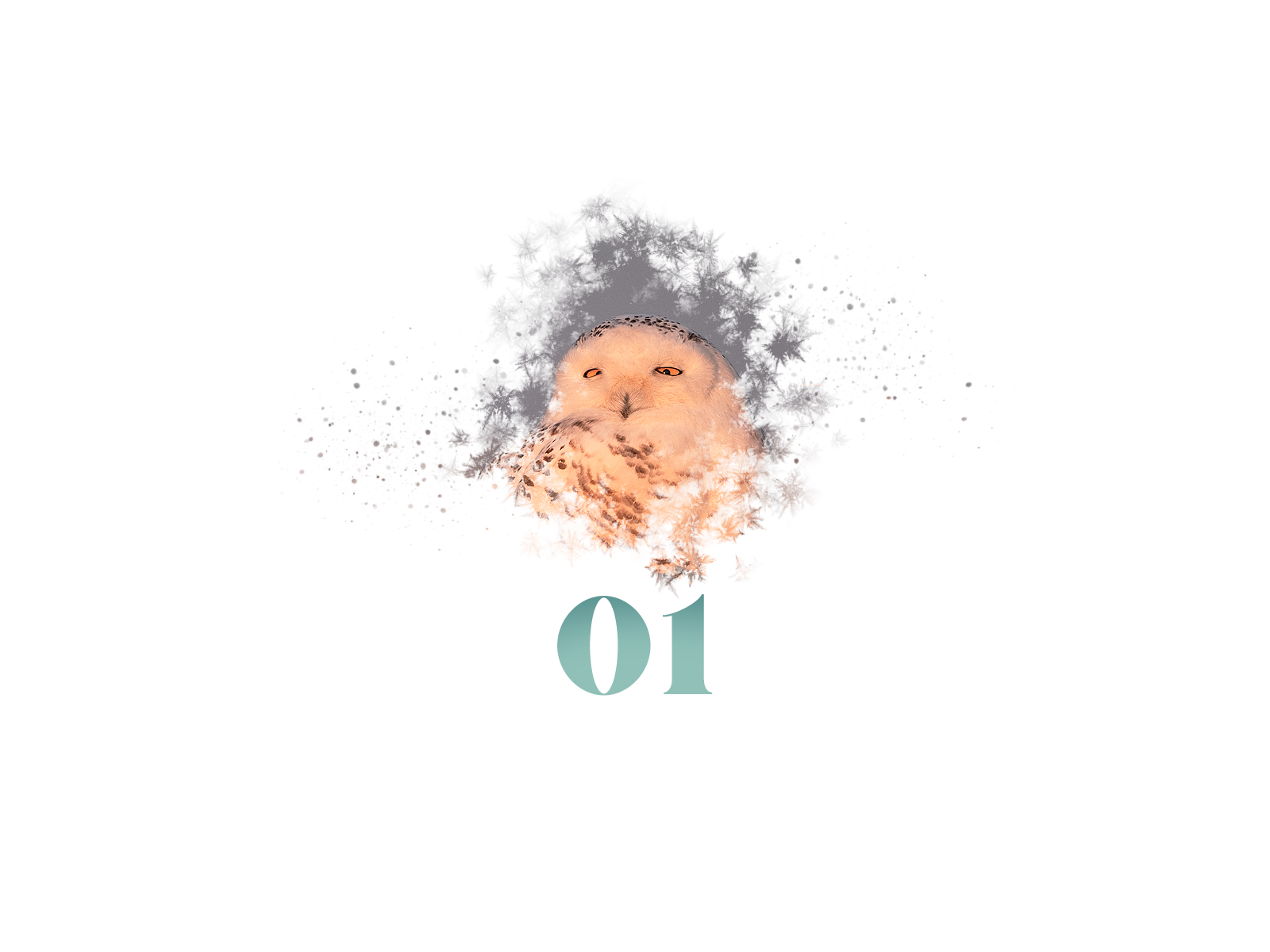 Snowflake #01