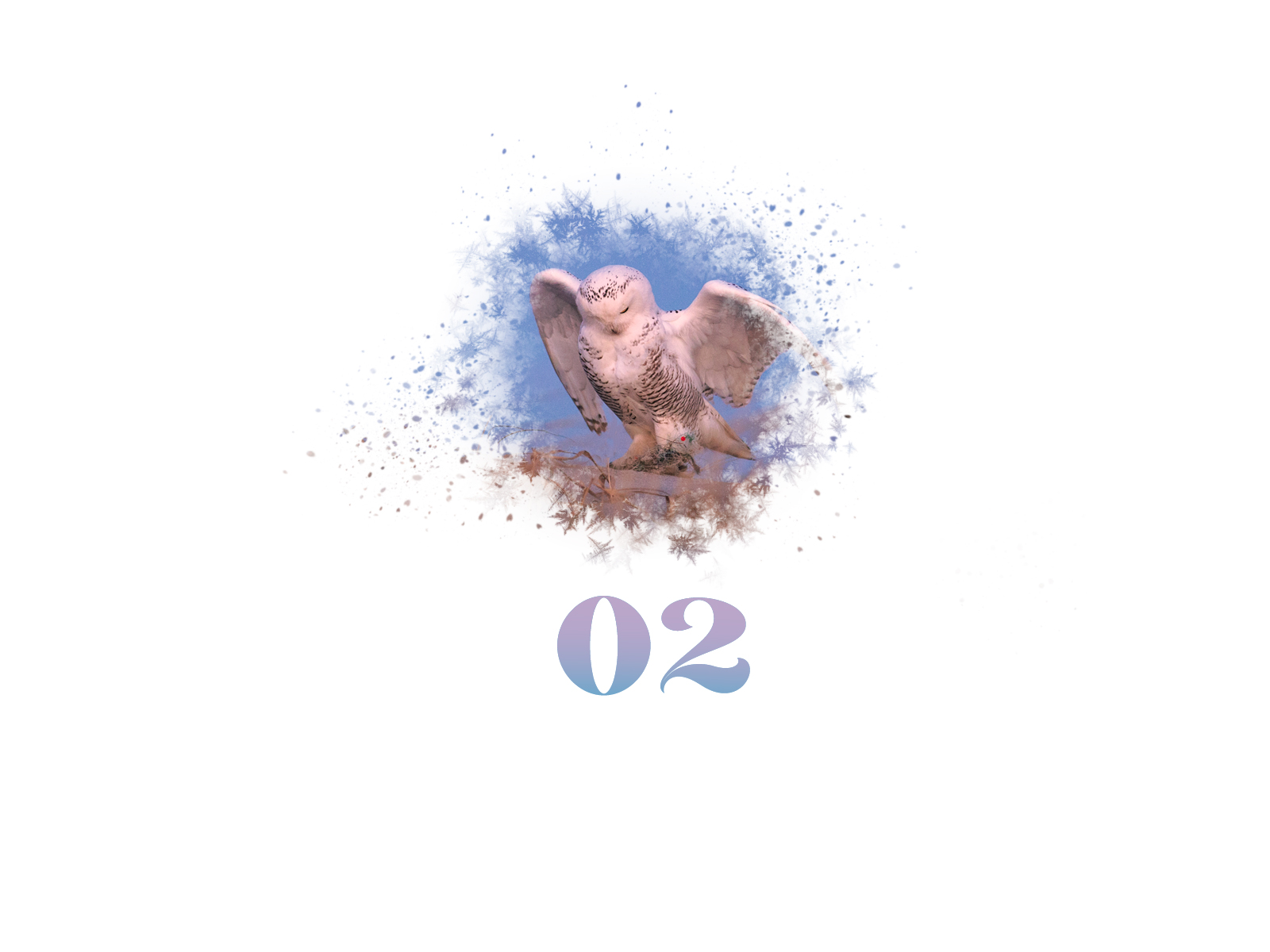 Snowflake #02