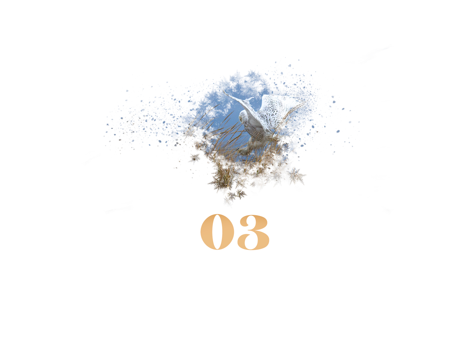 Snowflake #03