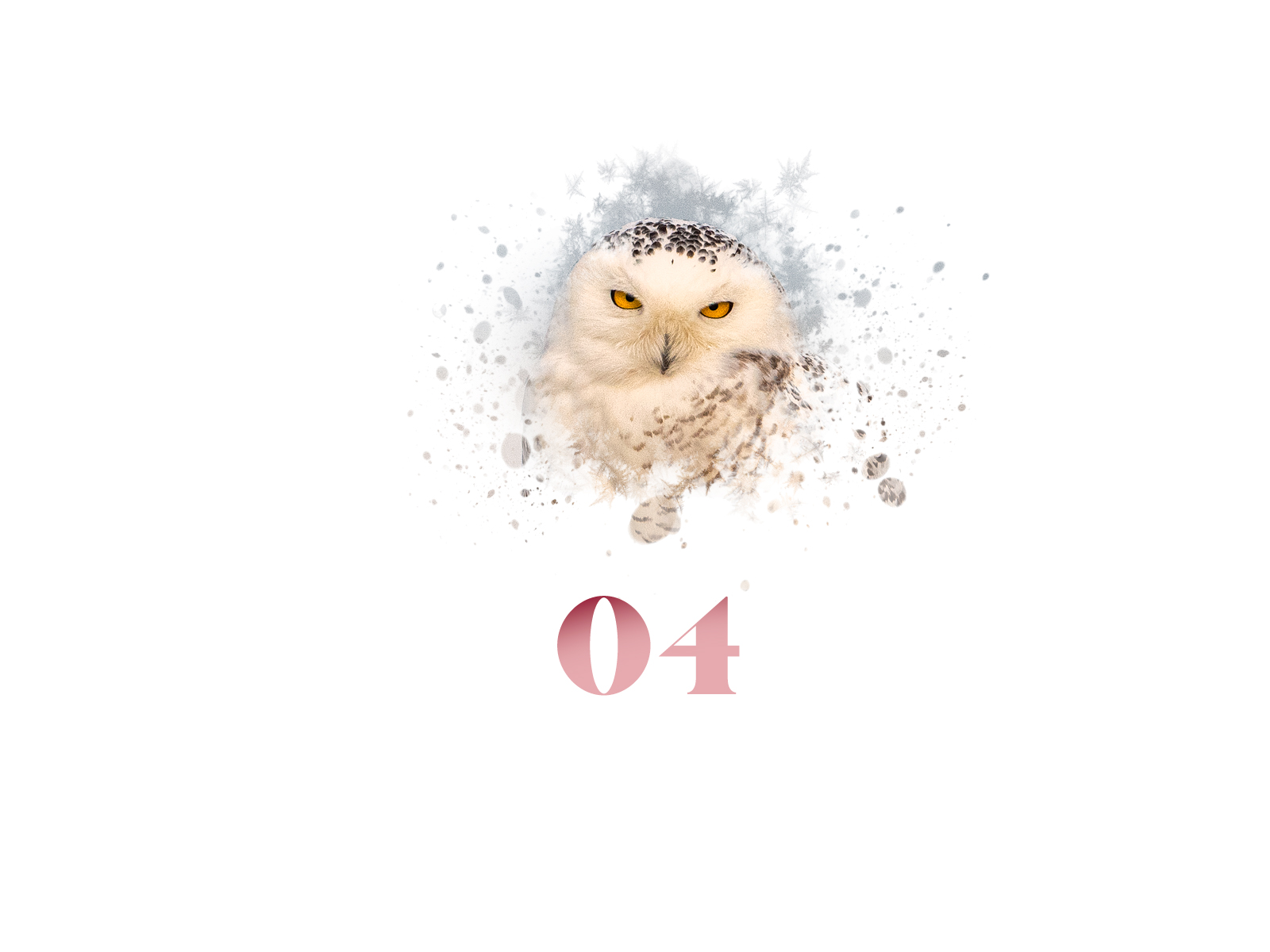 Snowflake #04
