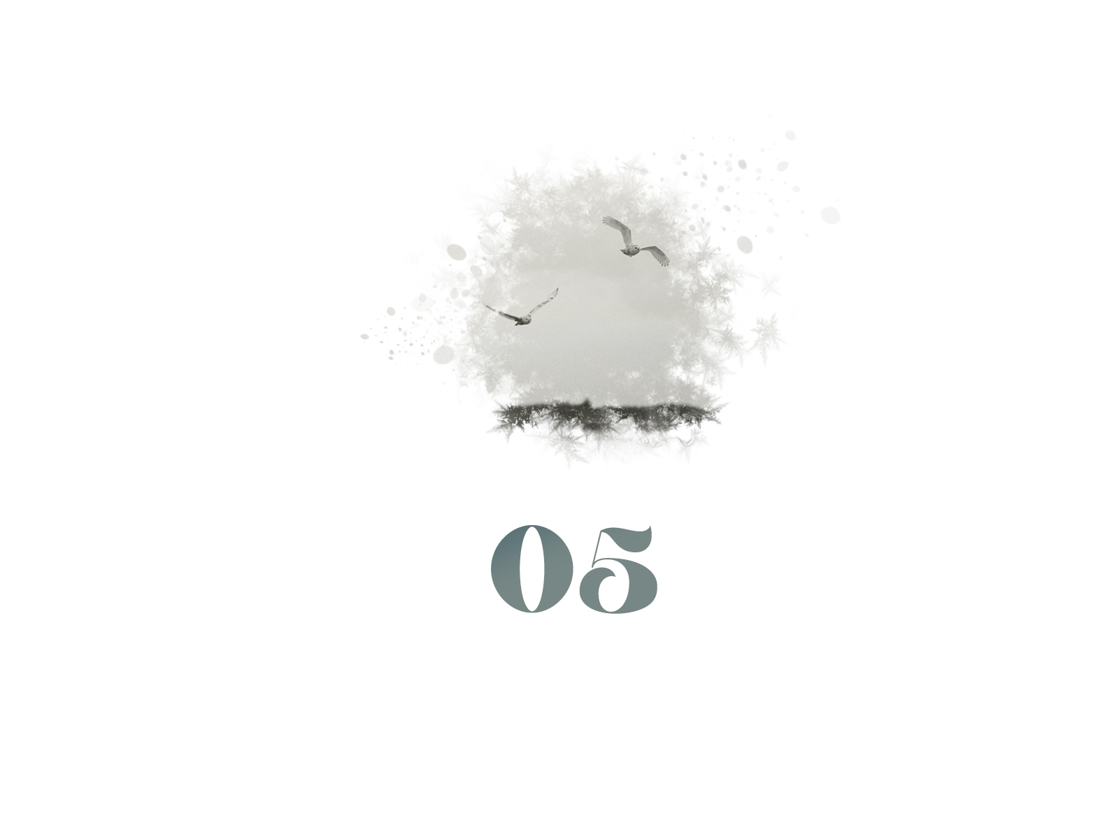 Snowflake #05