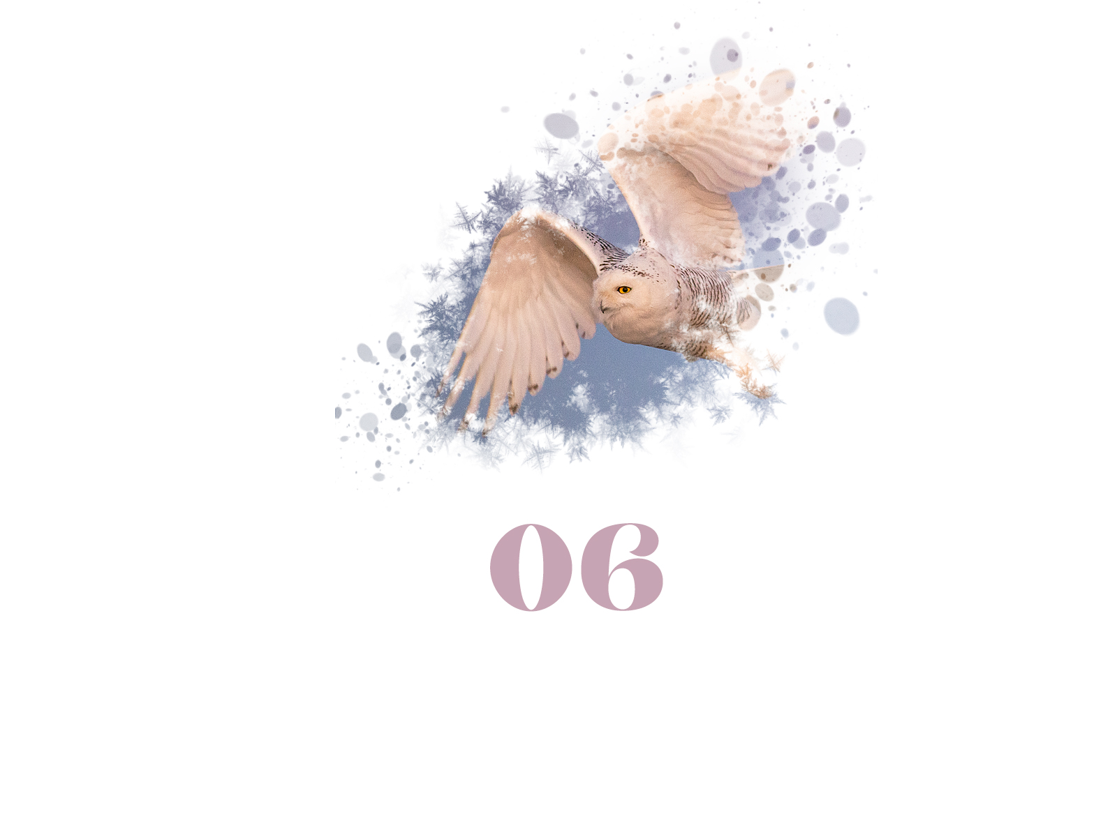 Snowflake #06
