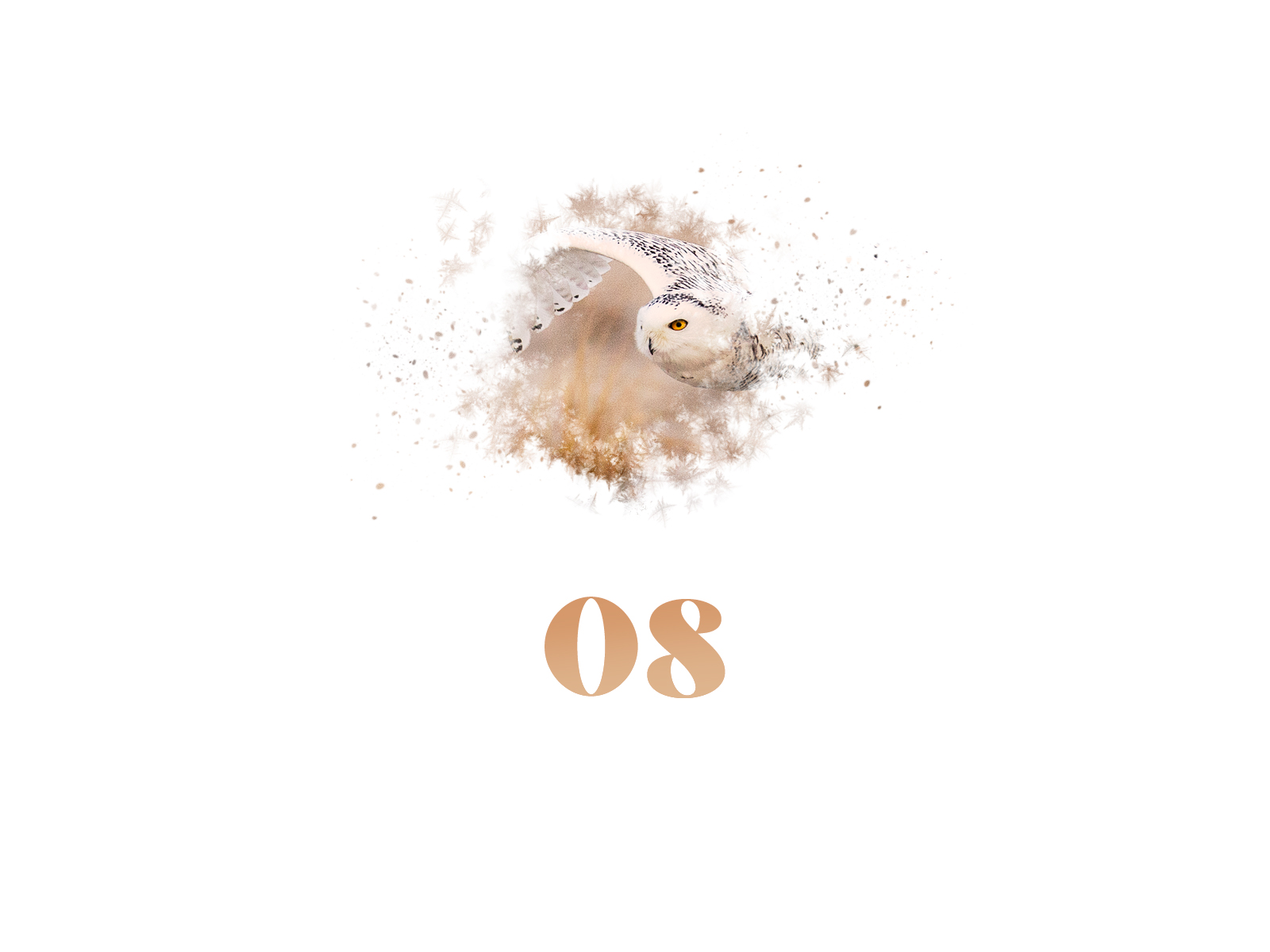 Snowflake #08