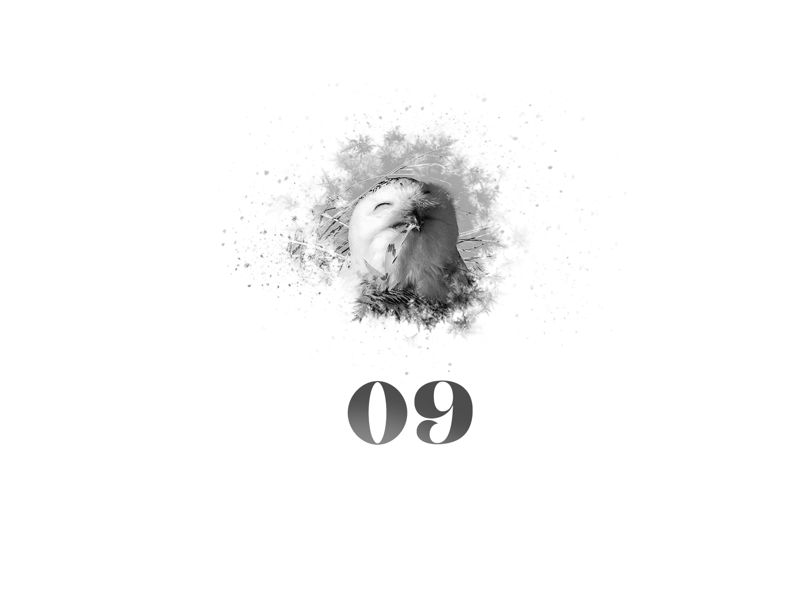 Snowflake #09