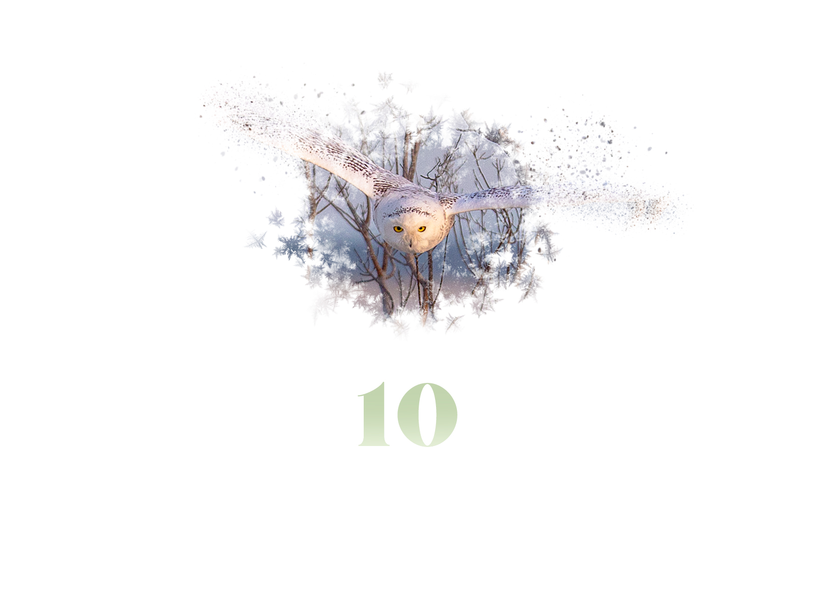 Snowflake #10