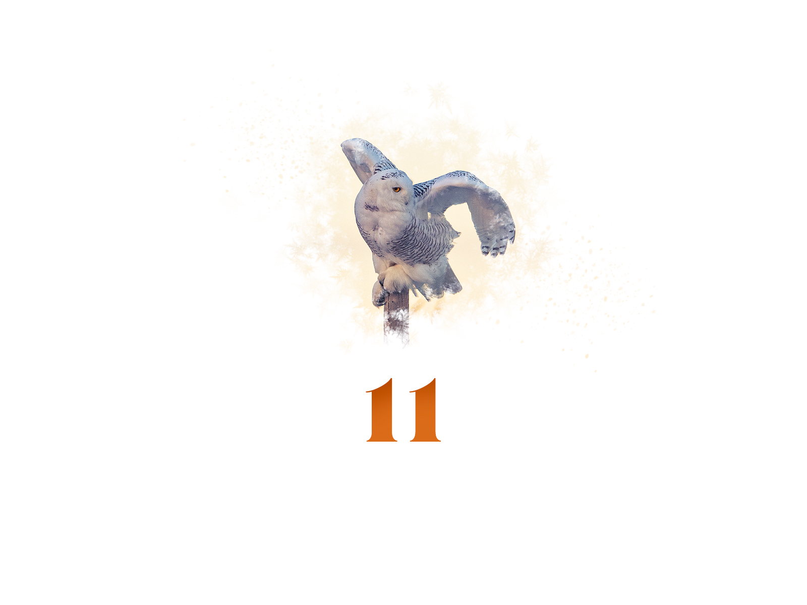 Snowflake #11