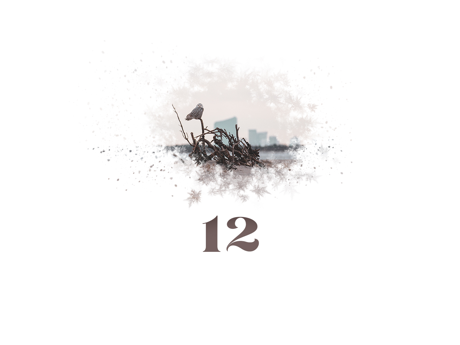 Snowflake #12