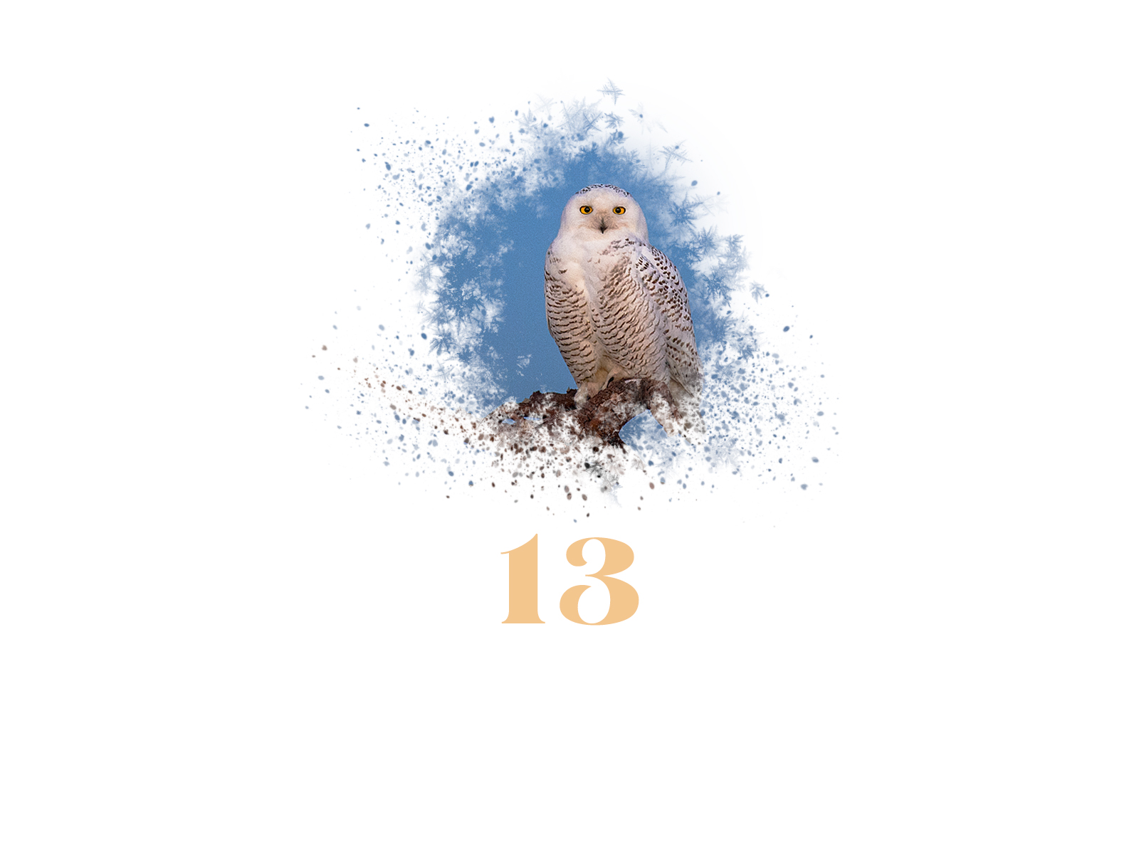 Snowflake #13