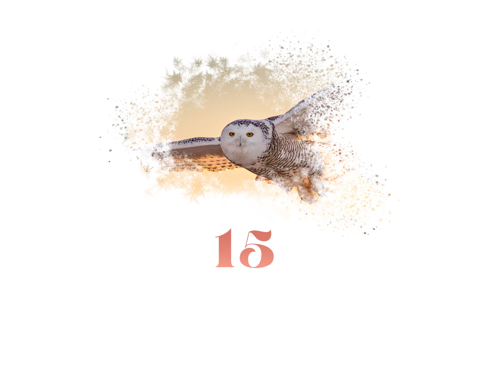 Snowflake #15