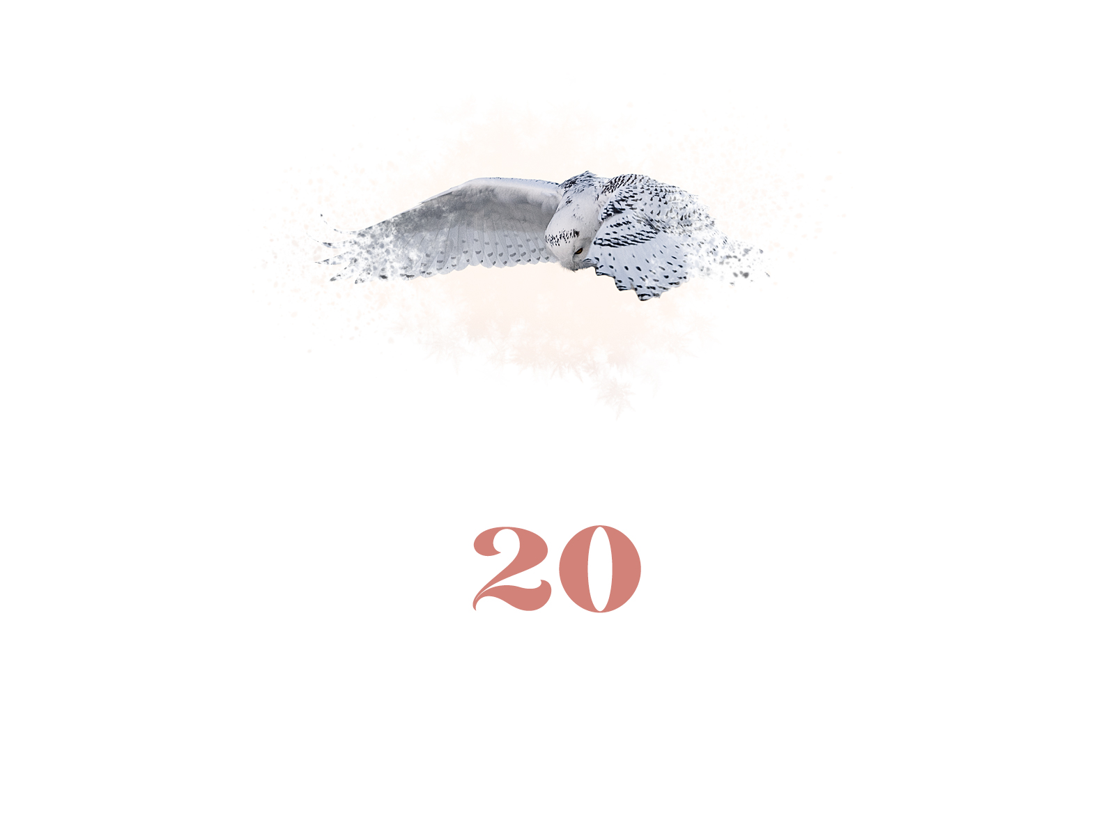 Snowflake #20