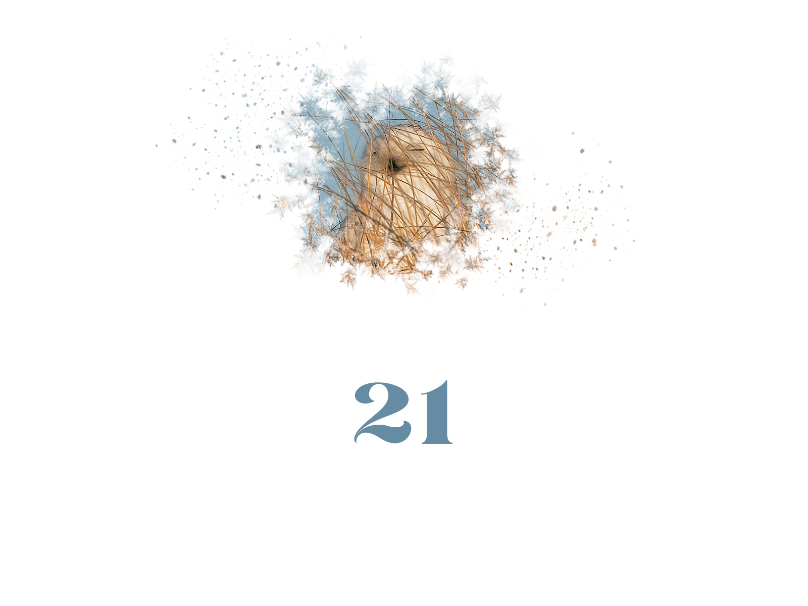 Snowflake #21