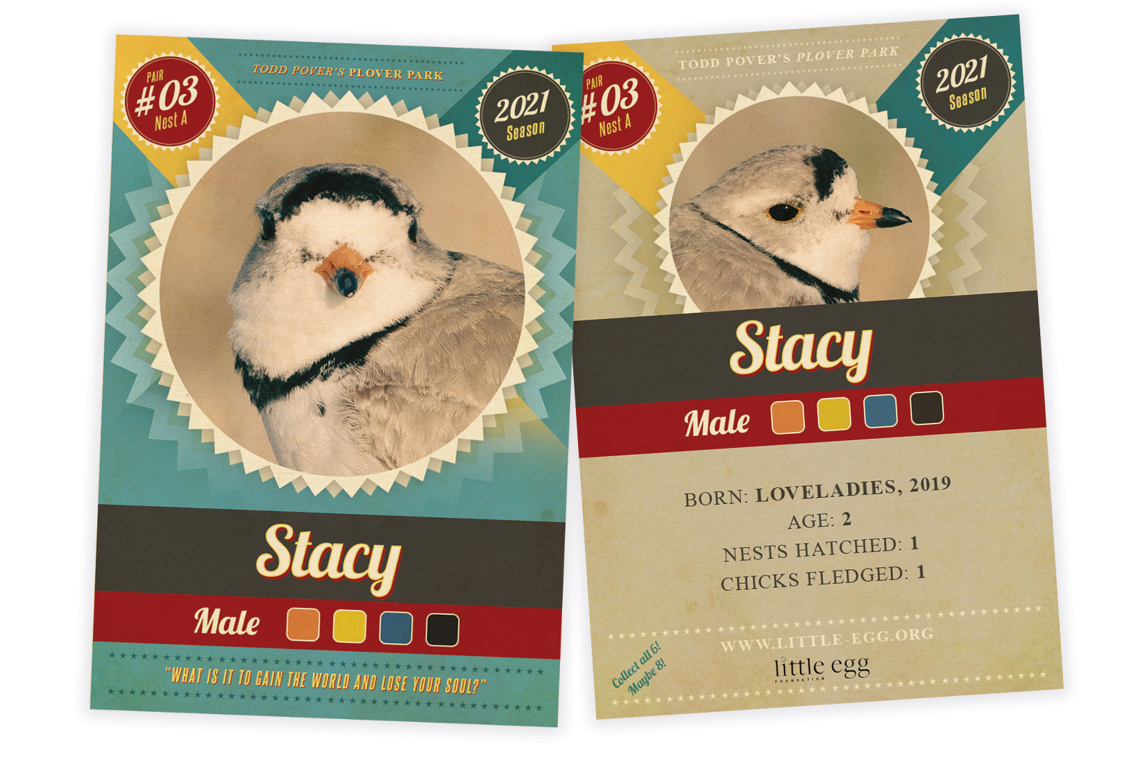 Collect All 6, Maybe 8: Stacy