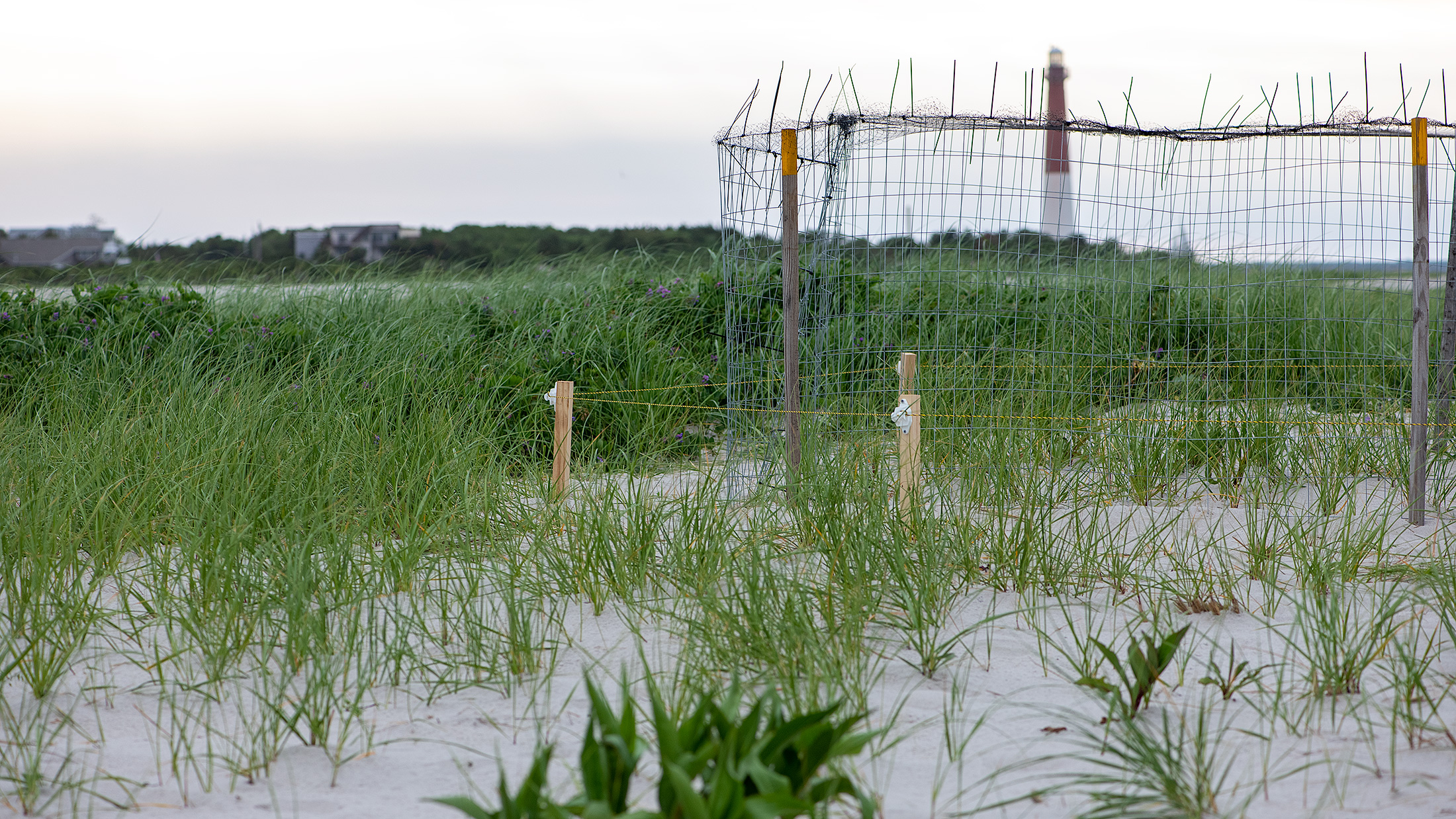 The Plover Park Diaries: Back To The Future