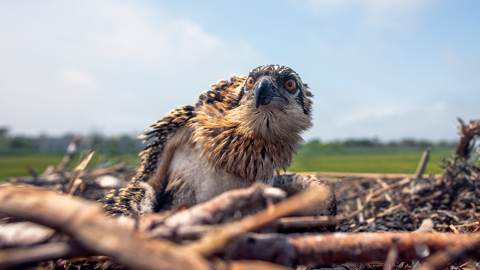 Jack & Wendy: Generations