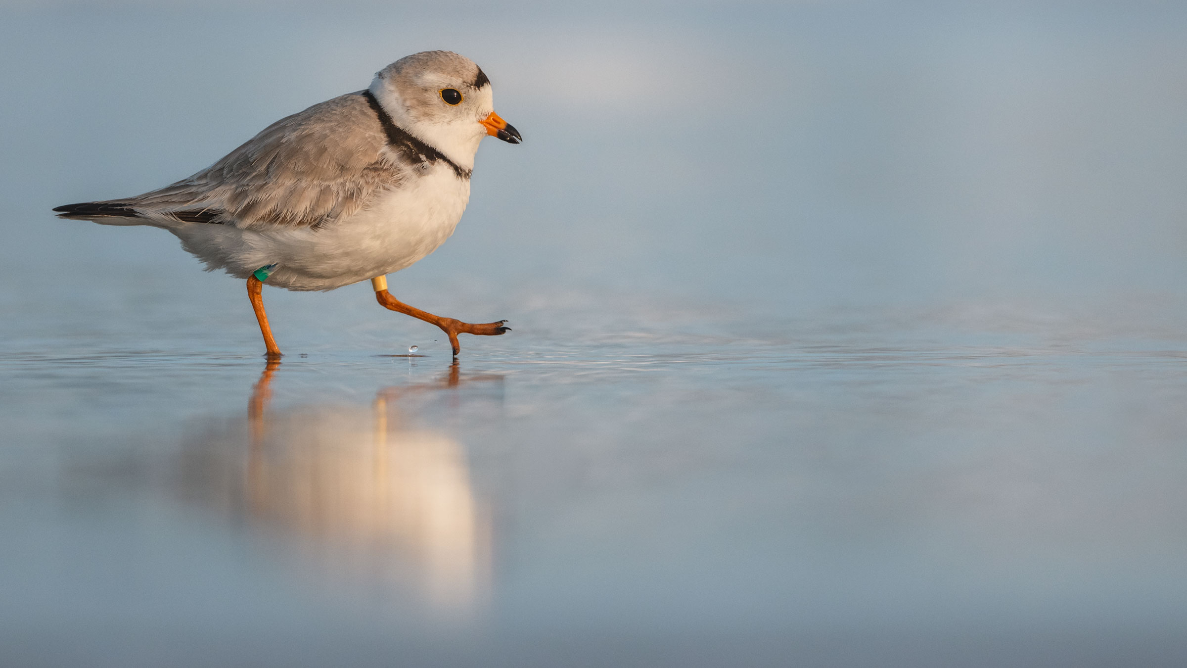 Jimin don’t like that!