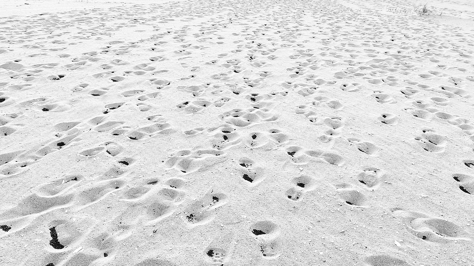 Epilogue: Lighter than feathers