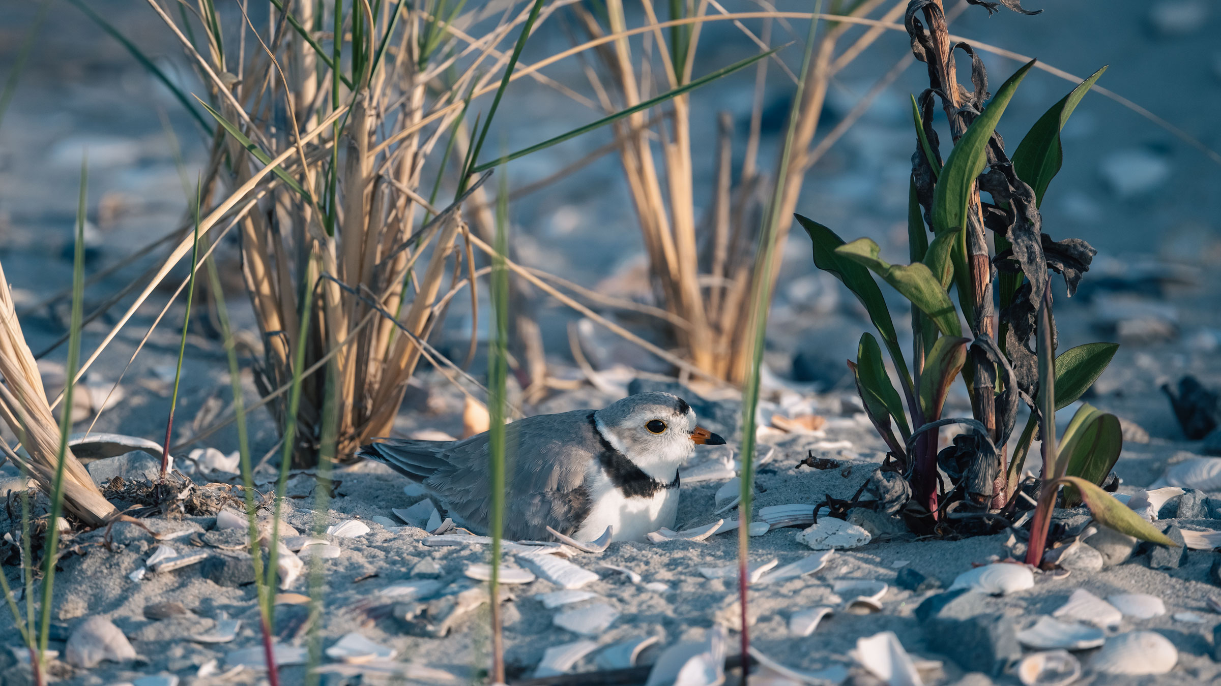 Vanguard Mutual Fun! #teamwork