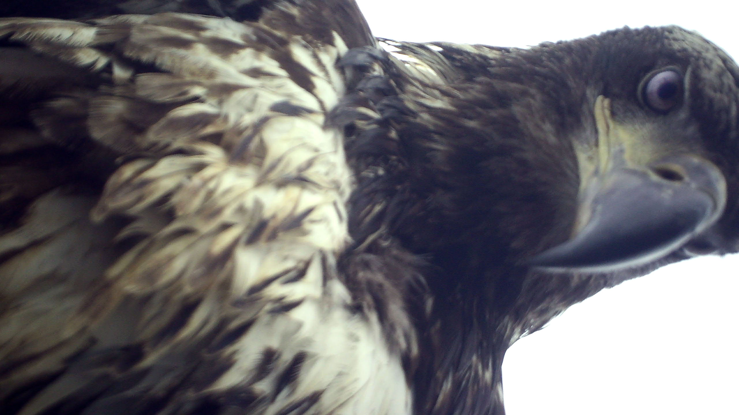 That Muppet owes me a camera