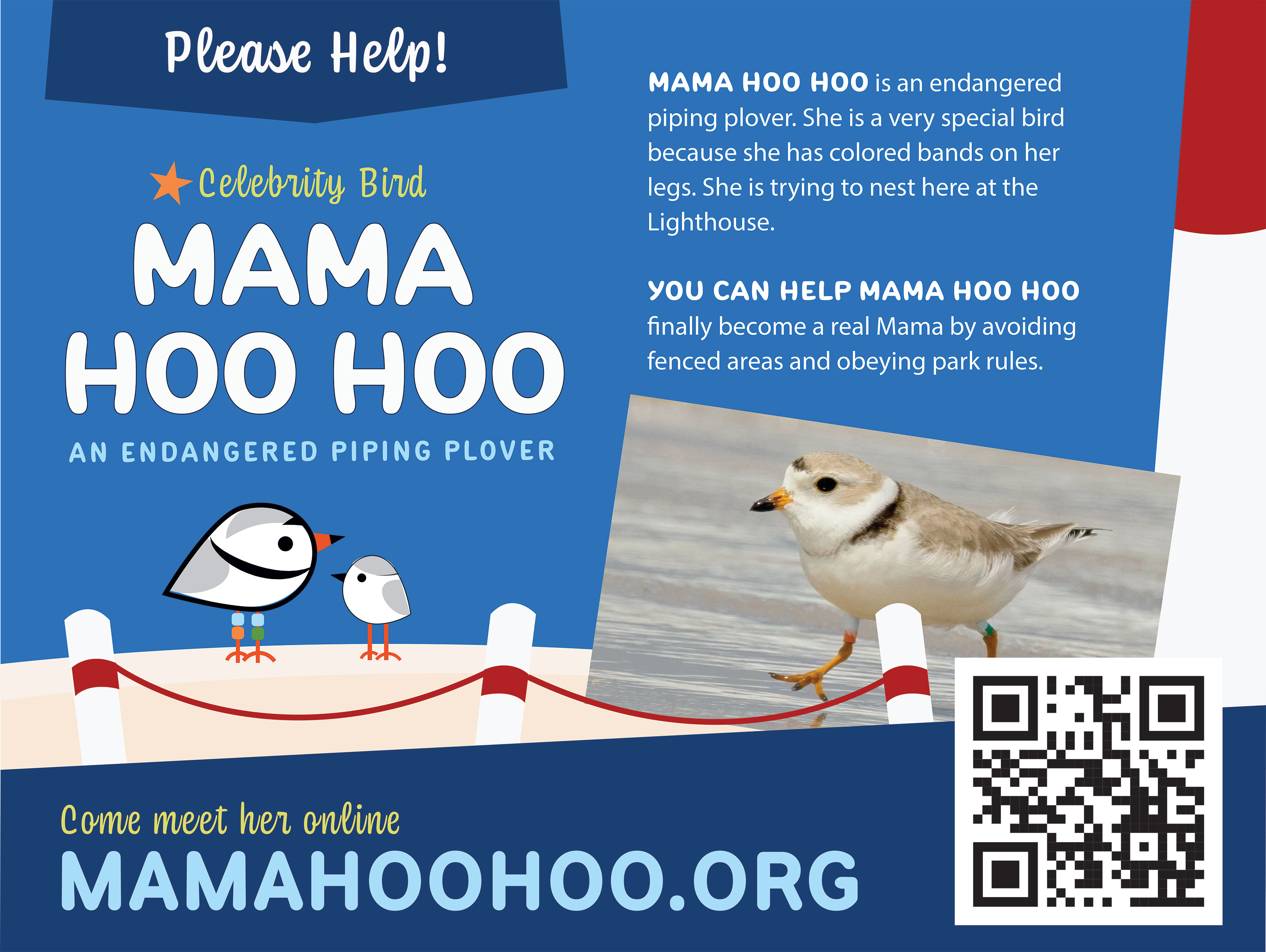 Mama Hoo Hoo: The bird who was always supposed to call Barnegat Light home is hatching right now, right where she belongs.